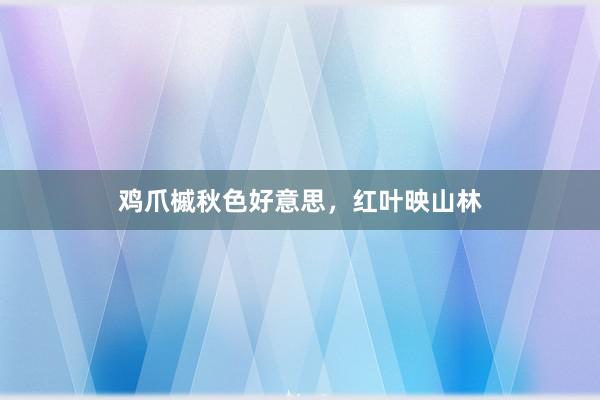 鸡爪槭秋色好意思,红叶映山林