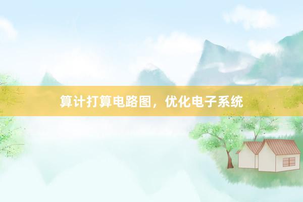 算计打算电路图,优化电子系统