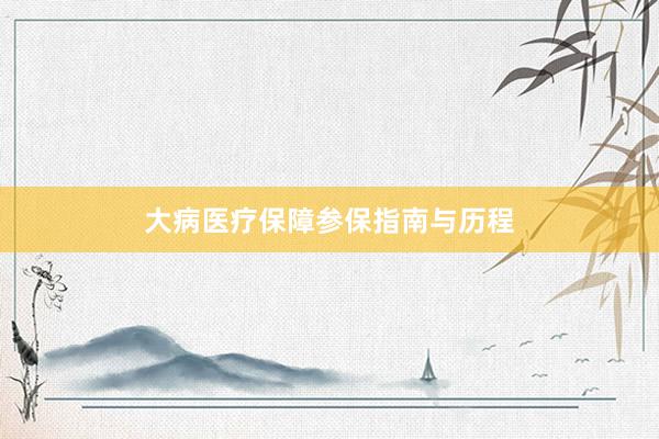 大病医疗保障参保指南与历程