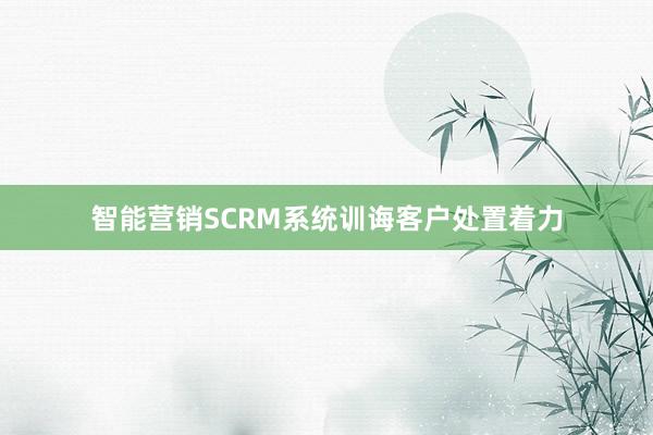 智能营销SCRM系统训诲客户处置着力